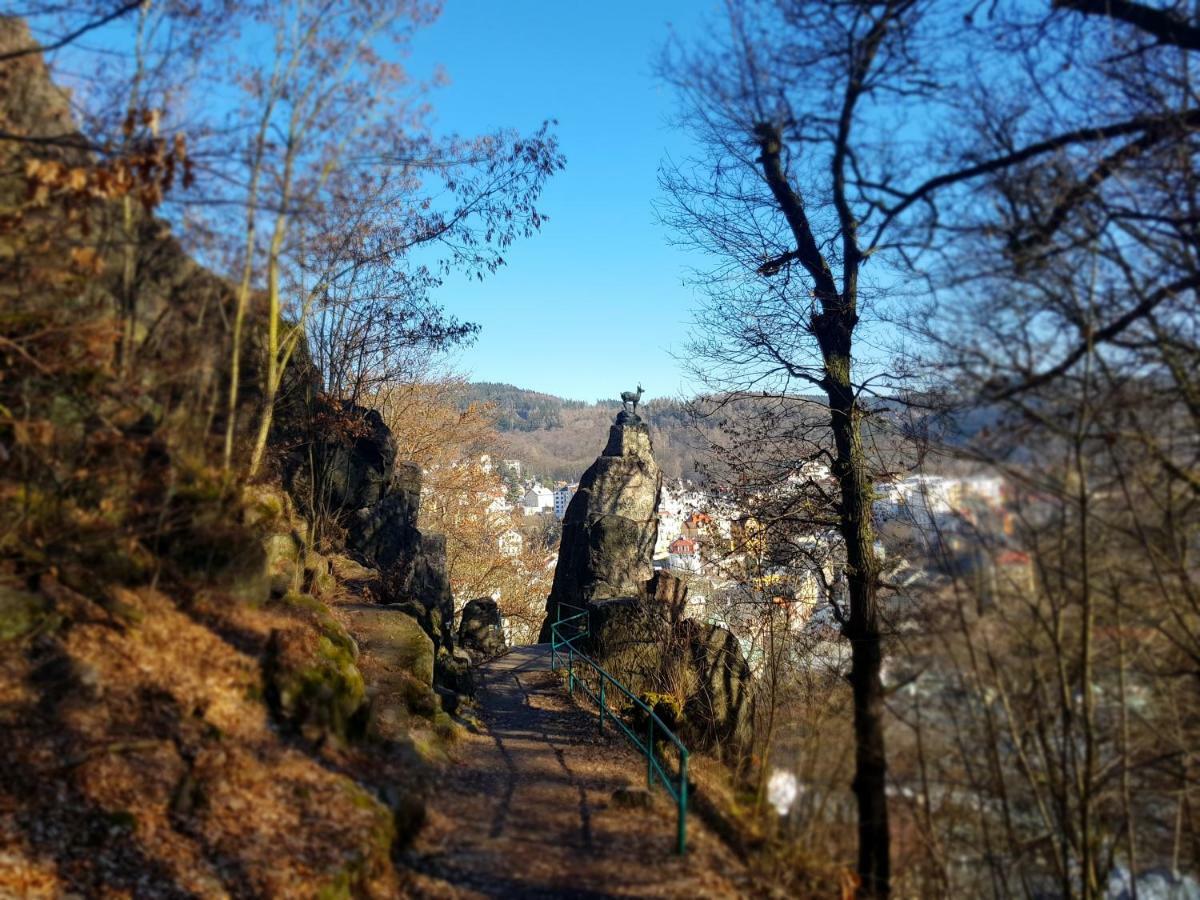 Madonna Karlsbad